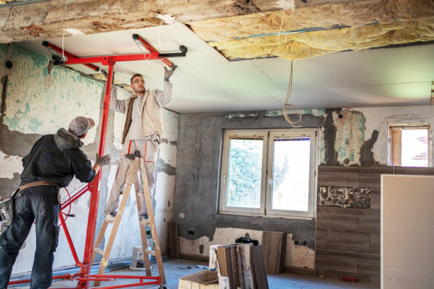 Best Cellulose Insulation  in Port Washington North, NY