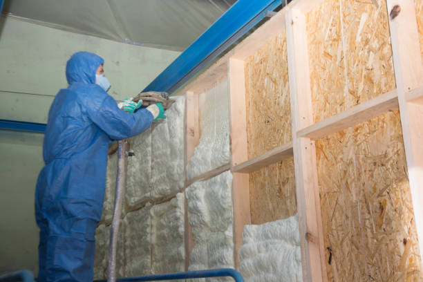 Best Home Insulation Services  in Port Washington North, NY
