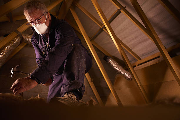 Best Home Insulation Services  in Port Washington North, NY