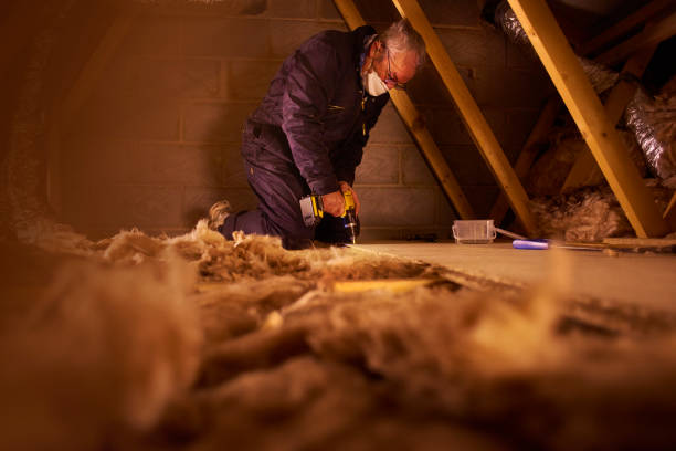 Best Crawl Space Insulation  in Port Washington North, NY